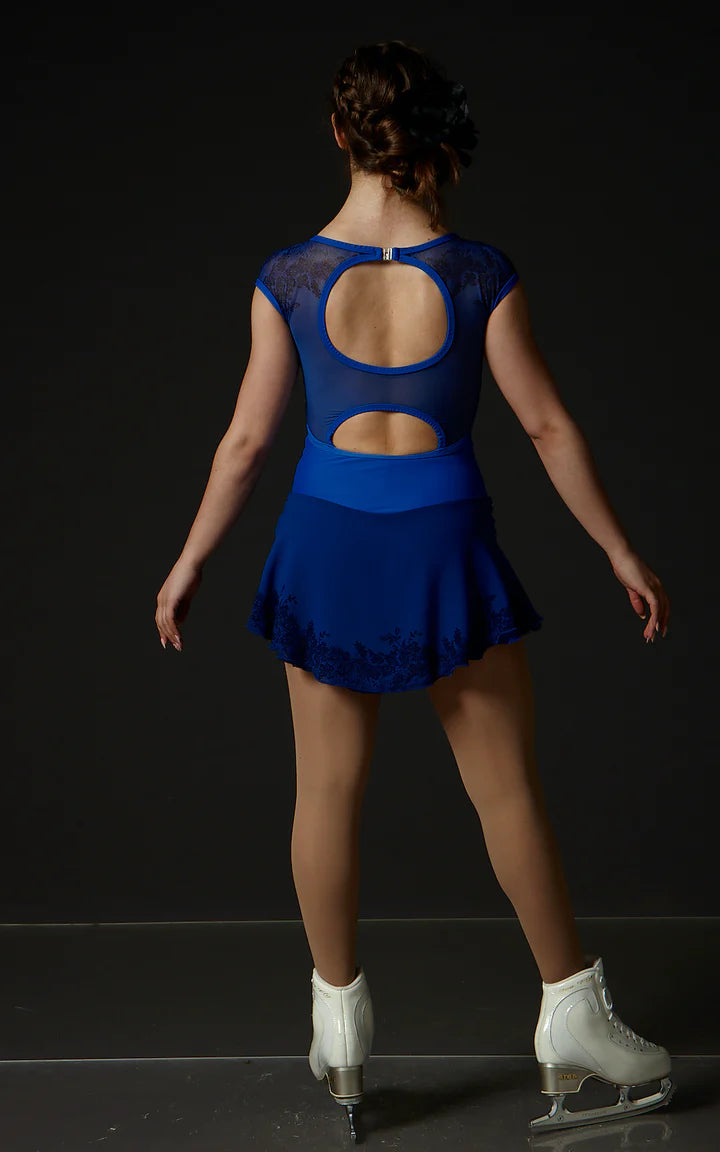 Royal Mesh Lace Dress